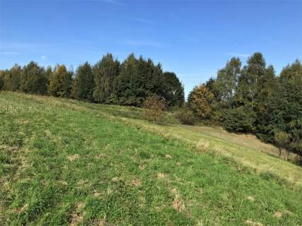 Piękna okolica 37 km od serca Krakowa