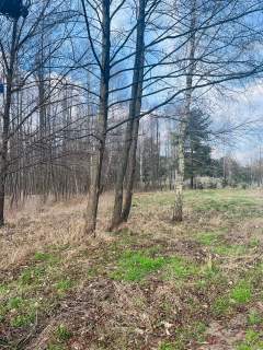 Działka nad jeziorem