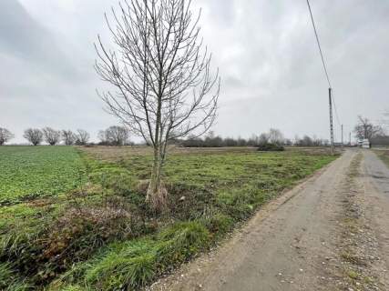 Działka o powierzchni 1,007 HA, ok. 2 km od morza.