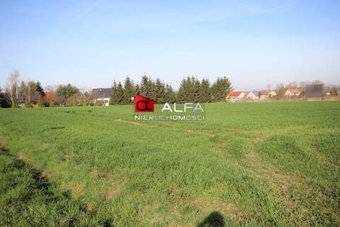Działka 11 arów nieopodal Żarowa 