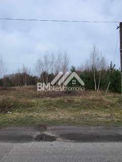 Rusiec blisko lasu