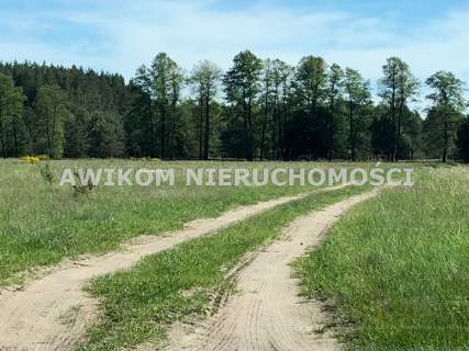 Działka leśna na sprzedaż, 32825 m2, Wały