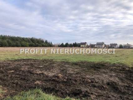 Malownicza okolica-rzeka Ner-warunki zabudowy