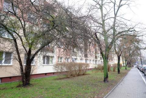 WOLA, Ulrychów, 3 pokoje dla rodziny, 56m2