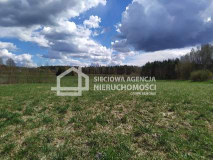 działka między lasem a jeziorem Jałowu
