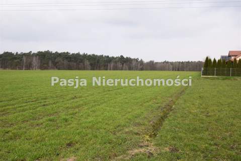 Działka w Brwilnie