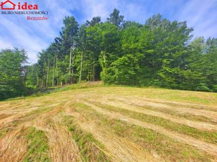 Działka budowlana na sprzedaż, 4500 m2, Brzozów