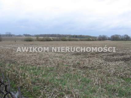 Działka siedliskowa na sprzedaż, 63400 m2, Gurba