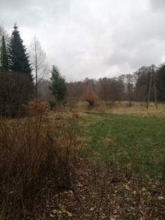 Działka 1100 m2,Stawno,pod lasem
