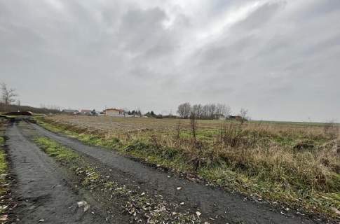 Działka o powierzchni 1,007 HA, ok. 2 km od morza.