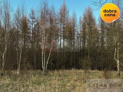Działka budowlana na sprzedaż, 871 m2, Błotno