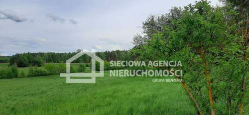 działka między lasem a jeziorem Jałowu