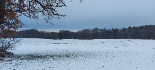Działka przy Jeziorze Budzieszowskim 1,7 ha