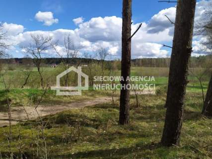 działka między lasem a jeziorem Jałowu