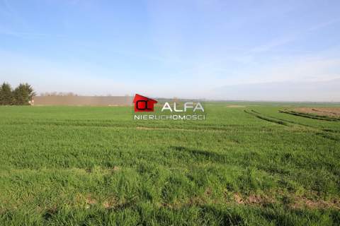 Działka 13 arów nieopodal Żarowa 