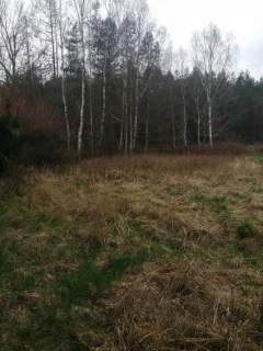 Działka 1100 m2,Stawno,pod lasem