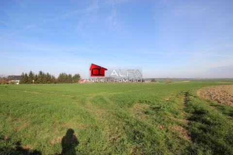Działka 11 arów nieopodal Żarowa 