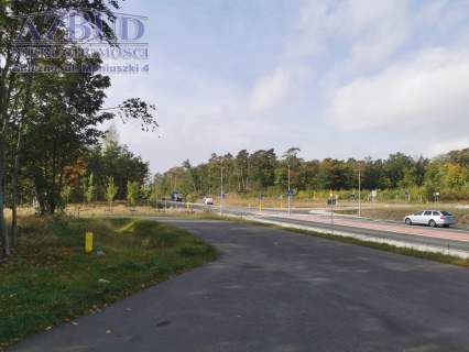 Działka inwestycyjna na sprzedaż, 40000 m2, Gniezno