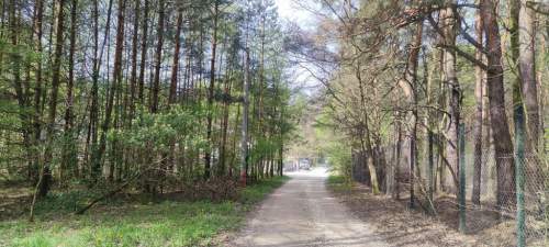 Działka budowlana na sprzedaż, 1550 m2, Wyględy