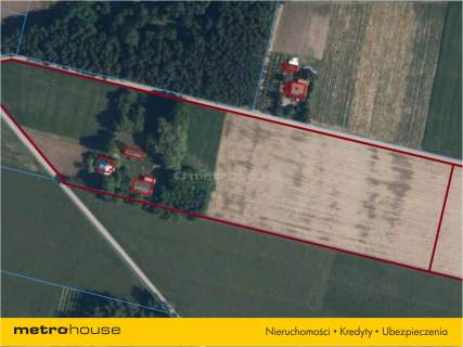 Działka rolna na sprzedaż, 40000 m2, Płońsk