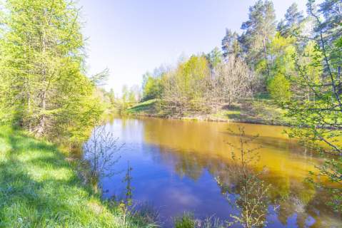 Działka inwestycyjna na sprzedaż, 29856 m2, Pomlewo