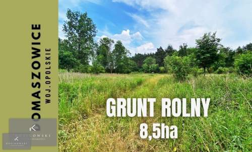 Grunt rolny o pow. 8,5 ha, Domaszowice