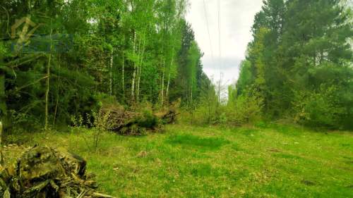 Sprzedam działkę rolną w Juliopolu 12 ha