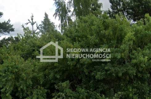 Atrakcyjne działki leśne 16.855 m2 w Borkowo