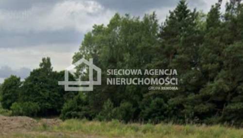 Działki leśne 16.855 m2 w Borkowo