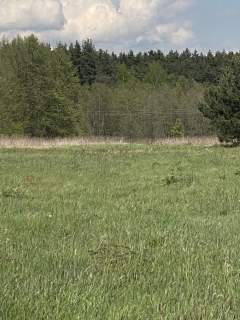 Piękna działka pod lasem