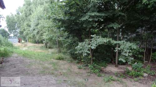 Działka budowlana na sprzedaż, 2300 m2, Bedoń Przykościelny