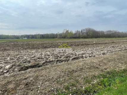 Działka, Smyków, gm. Radgoszcz