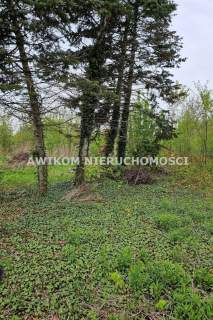 Działka budowlana na sprzedaż, 1651 m2, Kłudno Nowe