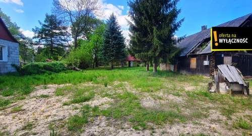 Działka 9200m2 w cichej i spokojnej okolicy