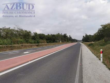 Działka inwestycyjna na sprzedaż, 40000 m2, Gniezno