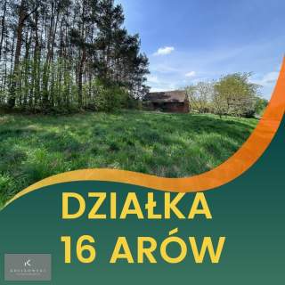 Działka budowlana blisko lasu 16 ar., Dąbrowa