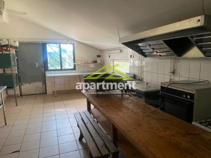Lokal, 500 m2, duża działka 2000 m2, Radgoszcz,