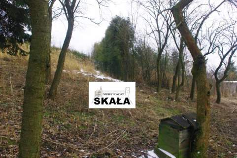 Nowa Wieś, gmina Skała