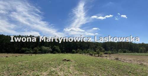 Działka na sprzedaż, 3900 m2, Sobin