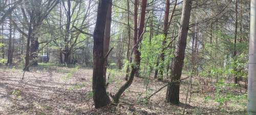 Działka budowlana na sprzedaż, 1550 m2, Wyględy