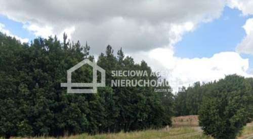 Działki leśne 16.855 m2 w Borkowo