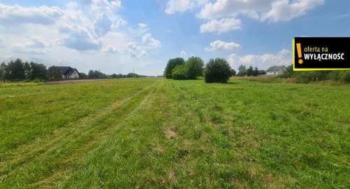 Działka 8600m2 w malowniczej okolicy