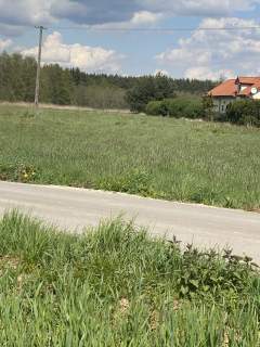 Piękna działka pod lasem