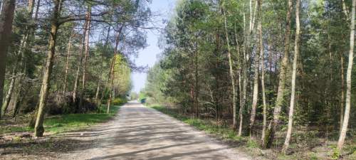 Działka budowlana na sprzedaż, 1550 m2, Wyględy