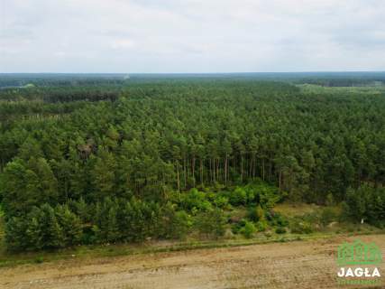 Samociążek 3061m2 rola Zalew Koronowski 500m las