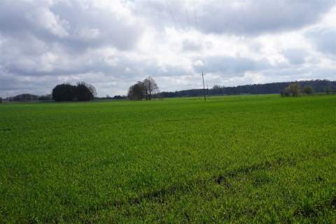 DZIAŁKA PRZEZNACZONA POD AG I USŁUGI