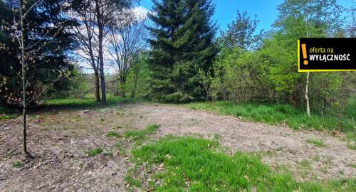 Działka 9200m2 w cichej i spokojnej okolicy