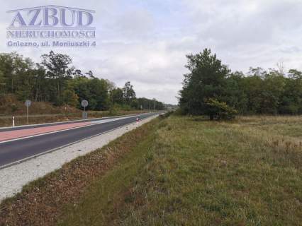 Działka inwestycyjna na sprzedaż, 40000 m2, Gniezno