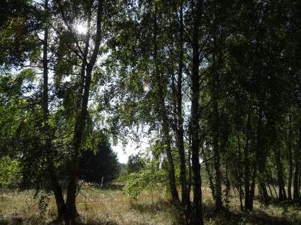 OŚRODEK WYPOCZYNKOWY W WOJ. ŁÓDZKIM