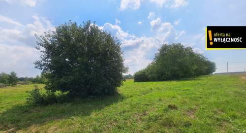 Działka 8600m2 w malowniczej okolicy